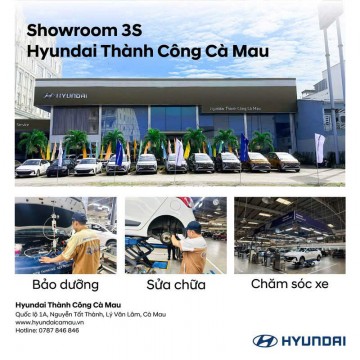 GẠT MƯA ĐỂ LẠI VỆT NƯỚC – CÓ PHẢI CHỈ CẦN THAY LƯỠI GẠT?