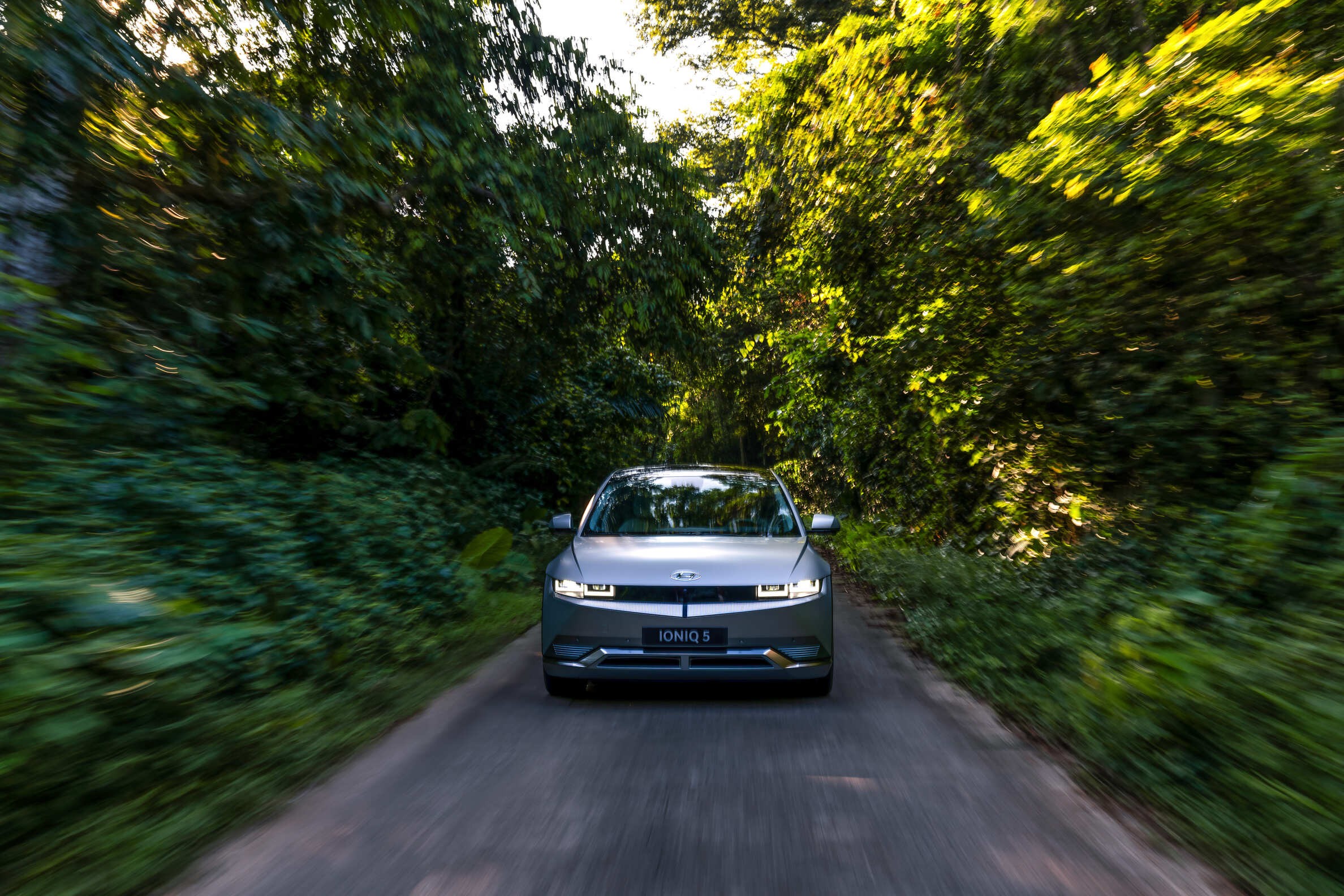 IONIQ5 LS 56 (1) (1)
