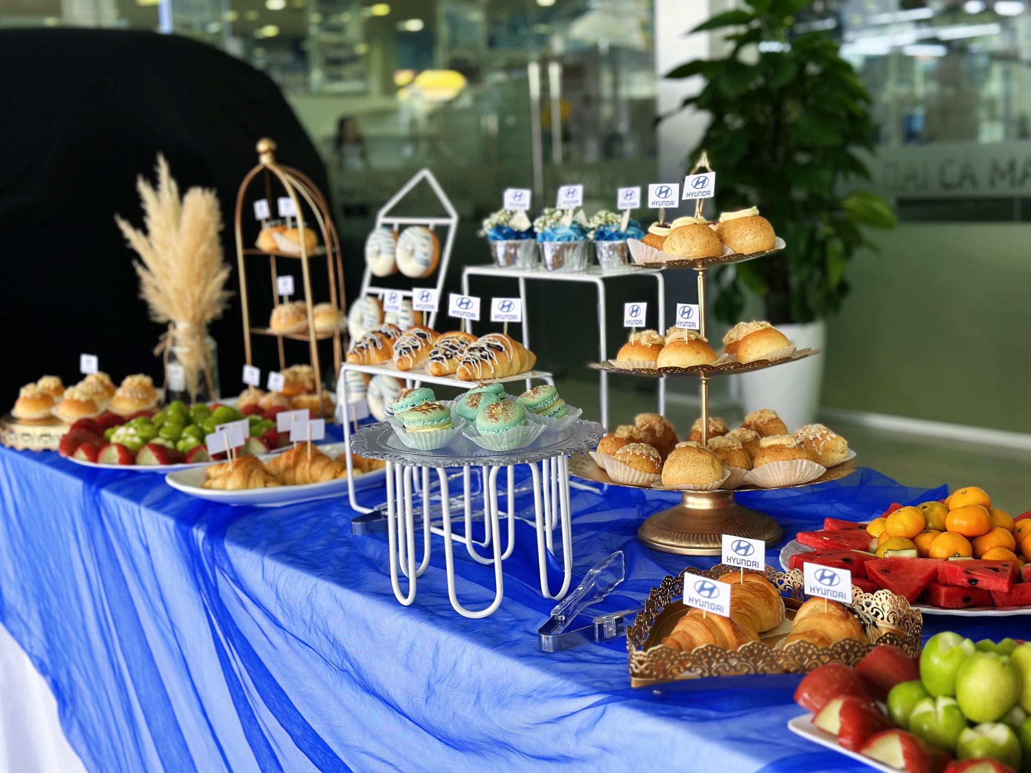 662381911 902280306107584 1711623421776935431 n